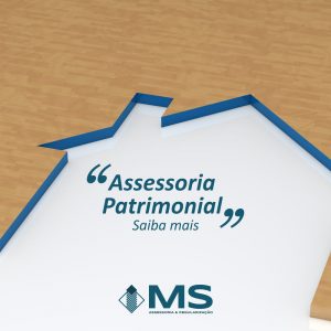 MS Assessoria e Regularização